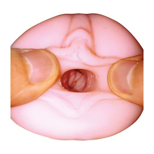 ケモノ発情中につき はるか画像4