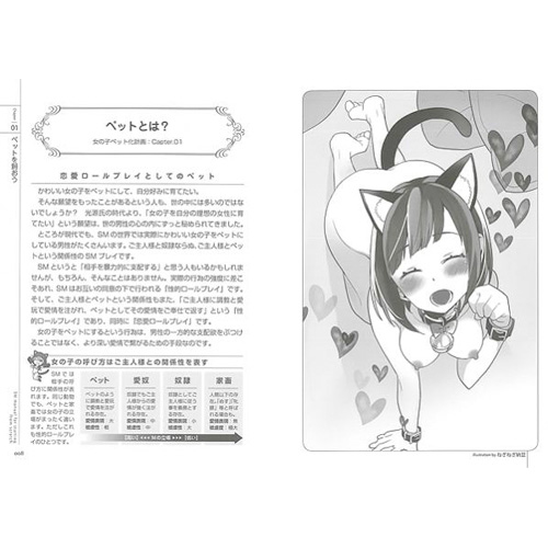 ゼロから始めるSMマニュアル　女の子ペット化計画 画像4