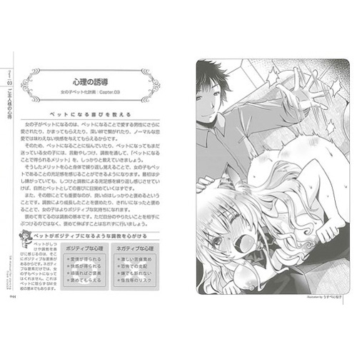 ゼロから始めるSMマニュアル　女の子ペット化計画 画像3