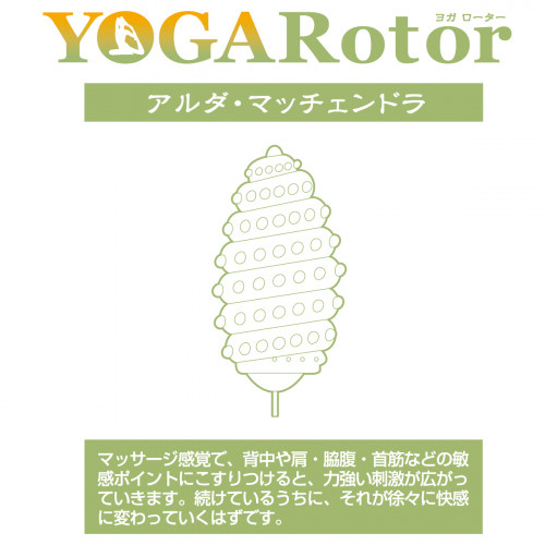 ヨガローター アルダ・マッチェンドラ画像7