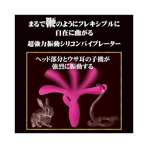 コブラ vs ラビット画像3