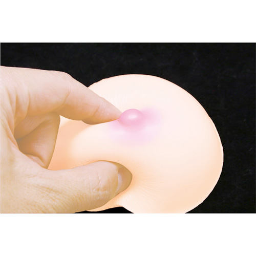やわらか超低反発おっぱい インサートエアピロー用画像3