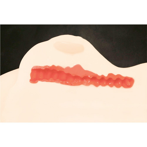 ヴィーナスの丘画像7