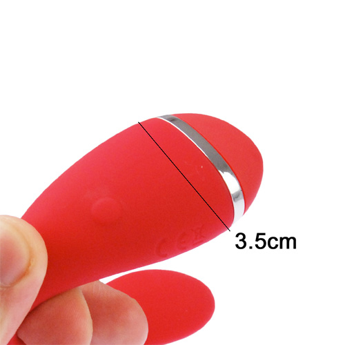 We-Vibe Special Edition ウィーバイブ スペシャルエディション バッテリー画像4