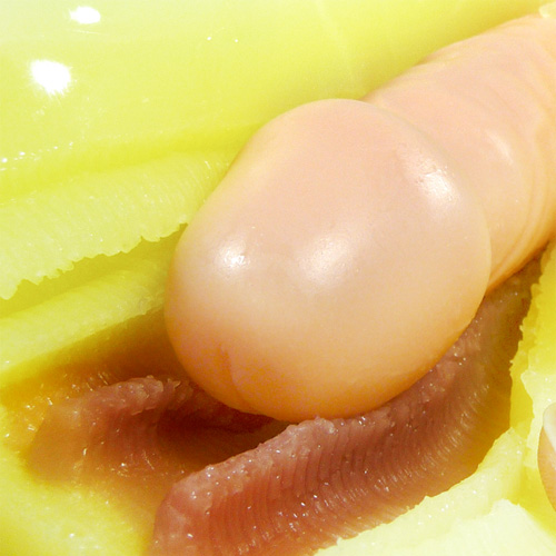 触手裏剣 すじズリ画像4