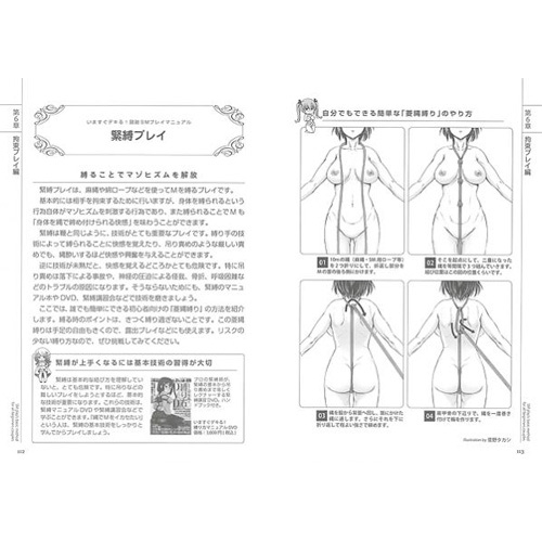 いますぐデキる!図説SMプレイマニュアル画像5