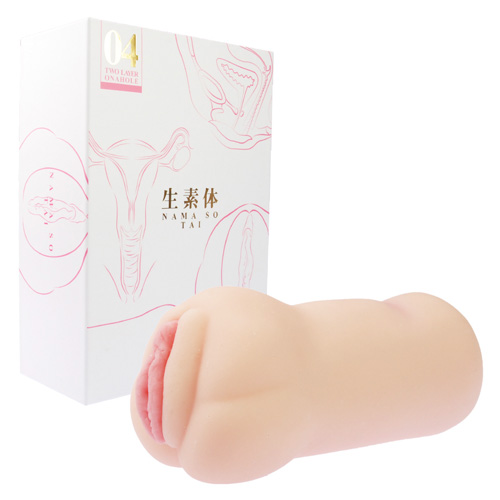 生素体 4