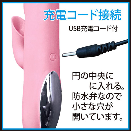 ダイサック画像7