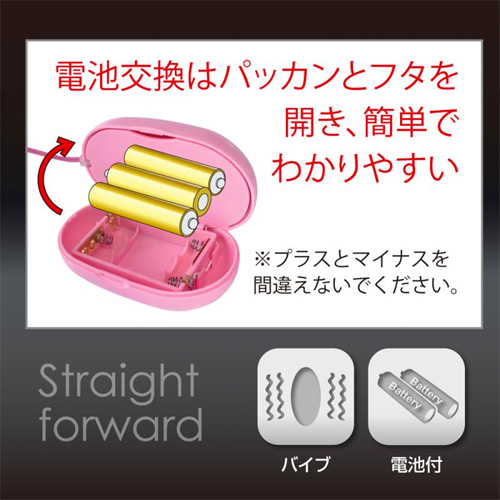 日本のローターDS ブラック画像5