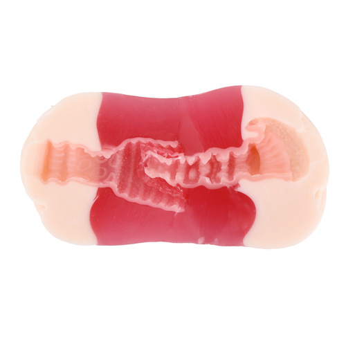 極彩 ウテルス デュオ Uterus Duo画像7