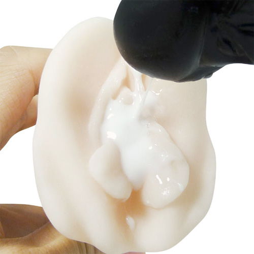メルティス・クエスト なかだしソフト Meltys Quest Soft画像5