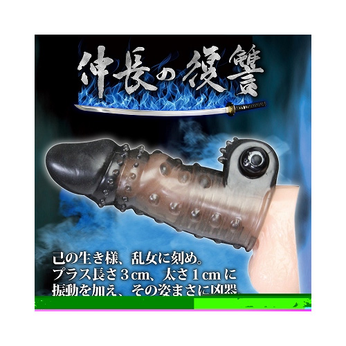 伸長の復讐画像3