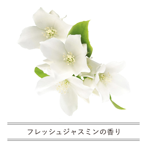 iroha INTIMATE WASH イロハ インティメイト ウォッシュ モイスト画像4