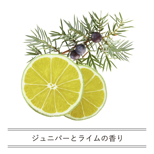 iroha INTIMATE WASH イロハ インティメイト ウォッシュ フレッシュ画像4
