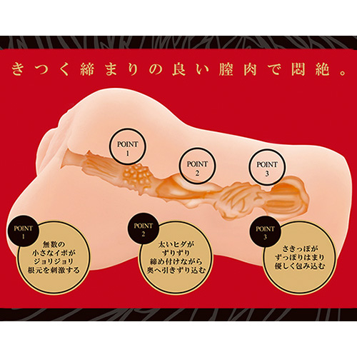 膣肉生陰唇画像4