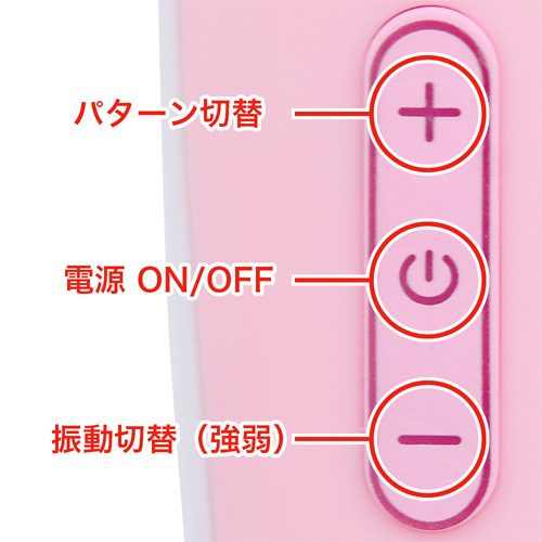 デンマジョワ画像4