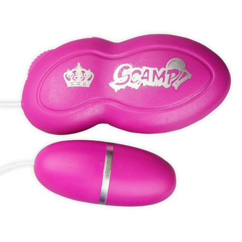 SCAMP スキャンプ画像3
