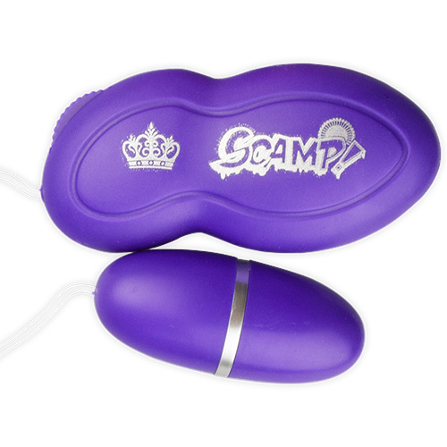 SCAMP スキャンプ画像2