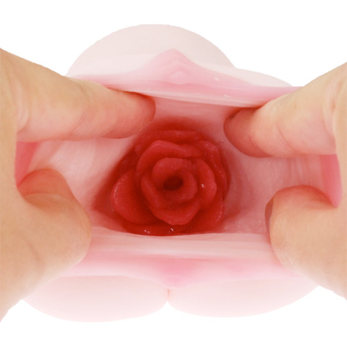 ラビアンローゼズ 薔薇乙女画像5