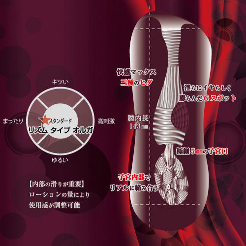 R-iSM リズム タイプ オルガ画像4
