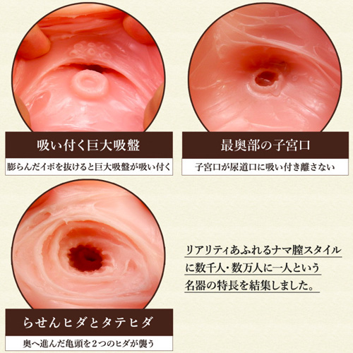 日本の名器 数の子天井画像6