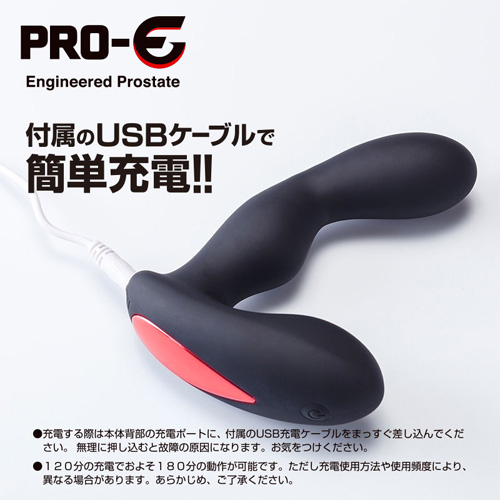 PRO-E Pusher (プロイー プッシャー)画像6