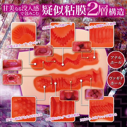 淫惑ラビリンス画像2