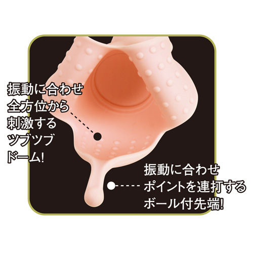 スーパー・キンチャクカズラ画像3