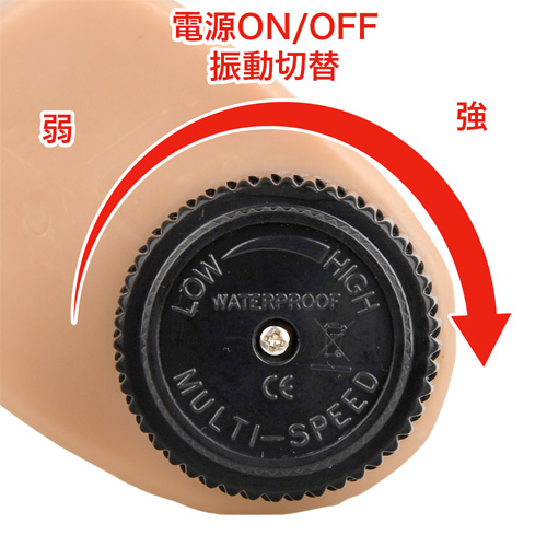 仁王棒画像4