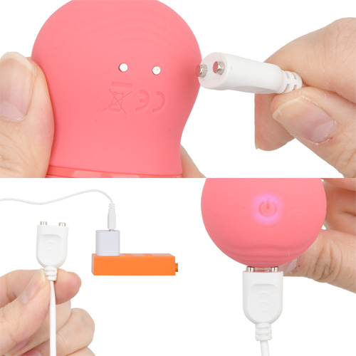 CURU-CURU BRUSH ROTER クルクルブラシローター画像5