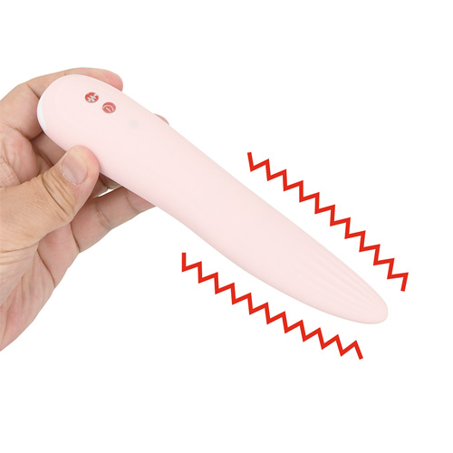 THEタンティング画像4