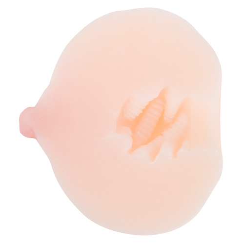 おっぱいほうる いぼたいぷ ひだたいぷ画像7