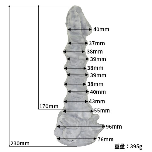 岩龍画像2