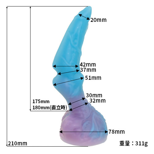 水龍画像2