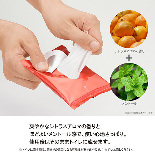 TENGA VIO MENs SHEET ブイアイオー メンズシート 10枚入り画像3