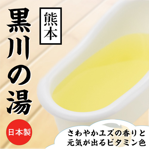 とろとろローション極 (日本製)画像3