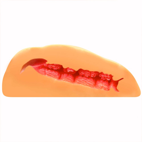床オナ式名器 ミミズ締め ハード画像5