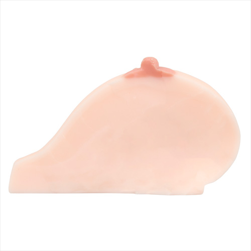 重量12kgに乳輪のモントゴメリー腺もあり！ EXっぱい （えくすとらっぱい）画像7