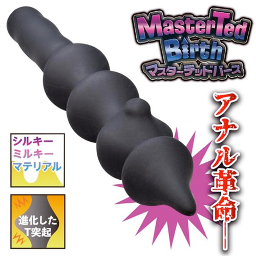 マスターテッドバース画像5