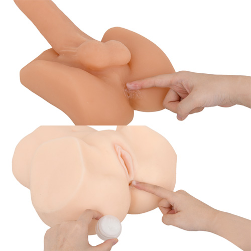 菊MAX画像3