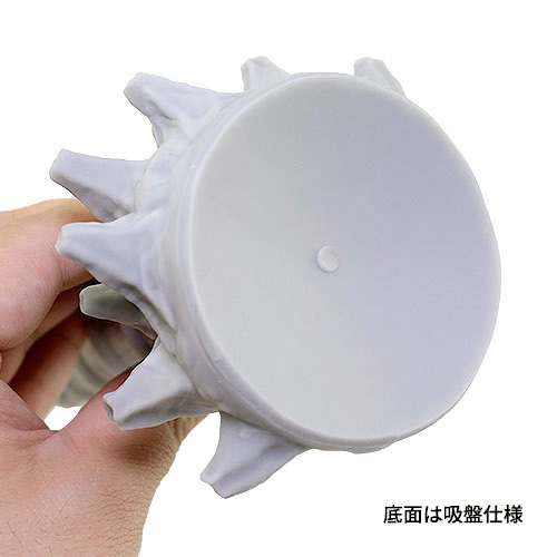 岩龍スリム画像7
