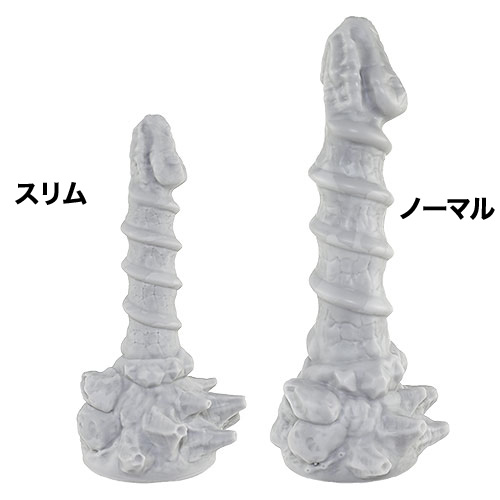 岩龍スリム画像5