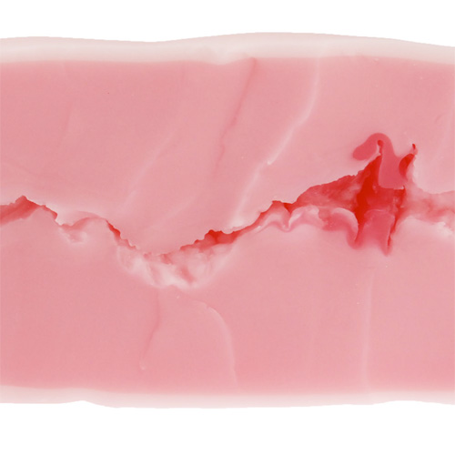 すじまん くぱぁ ろりんこ 処女宮 バルゴ PREMIUM SOFT画像3