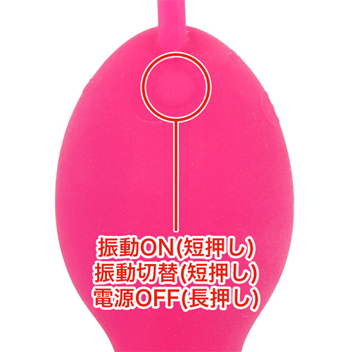 SWAN スワン ミニクラッチ画像5