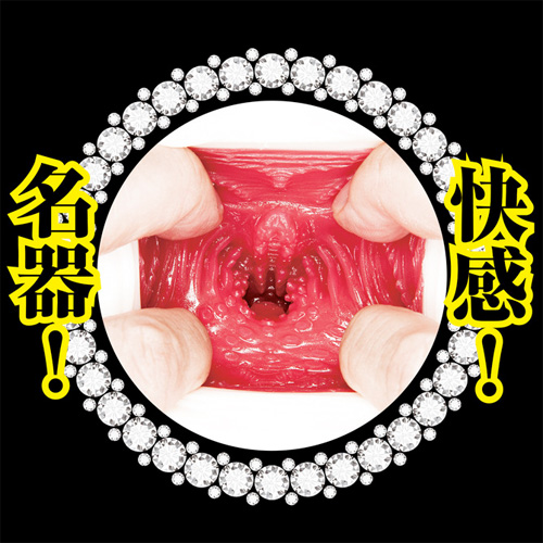美人メイド 名器で即ハメご奉仕! 枢木あおい画像5