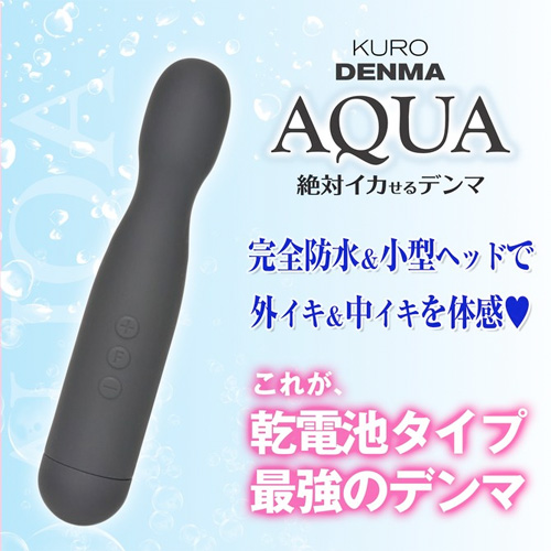 ピンクデンマ クロデンマ アクア2020画像5