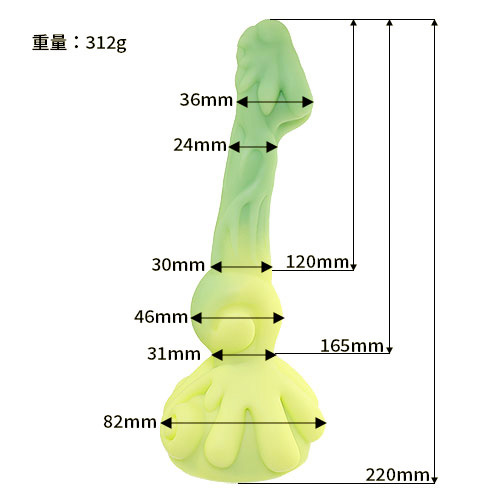風龍画像2