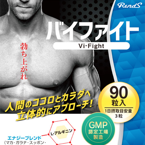 バイファイト画像4
