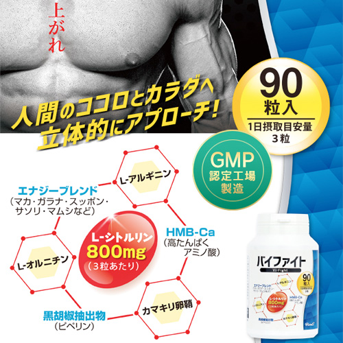 バイファイト画像5