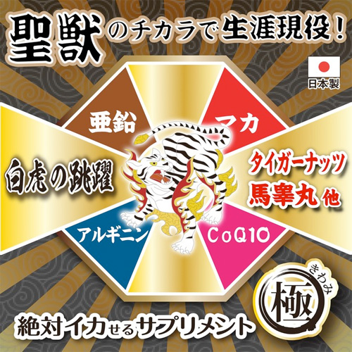 絶対イカせるサプリメント極 5種類画像4